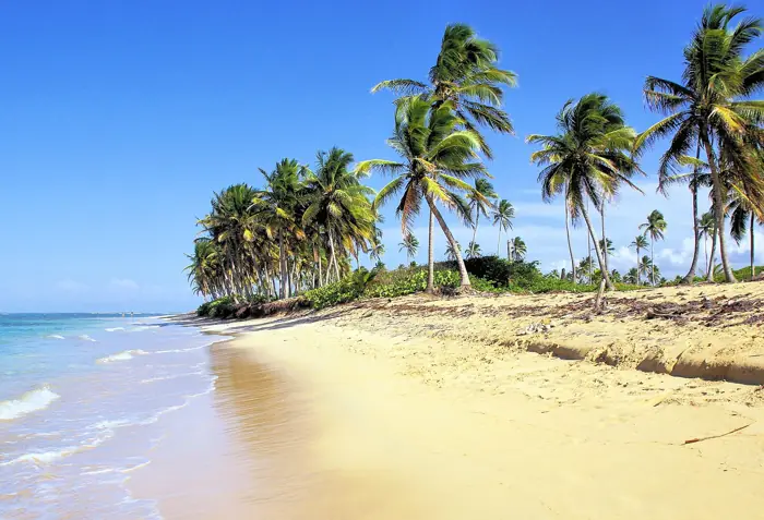 Bávaro · Photo of the zone